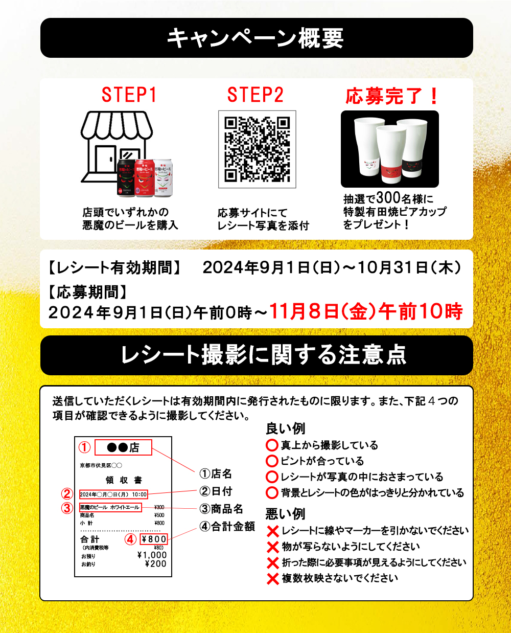 キャンペーン概要に関する説明